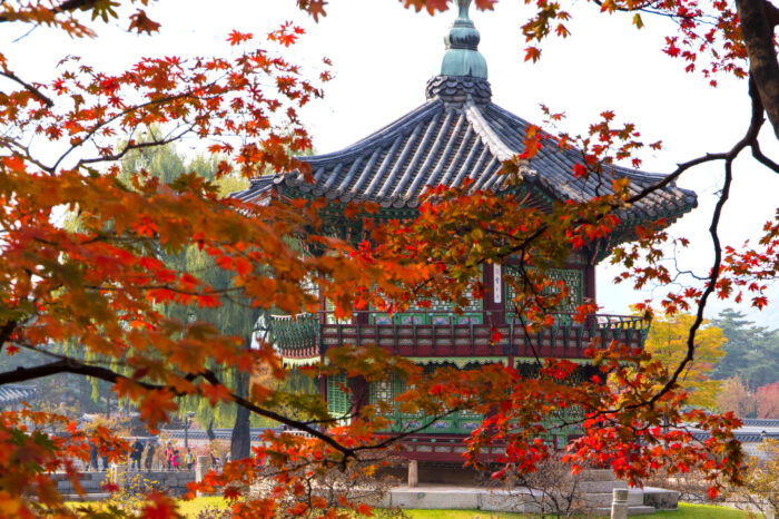 Heartfelt Korea Autumn 2026 Tour | 6 Days 5 Nights Seoul Tour from Manila